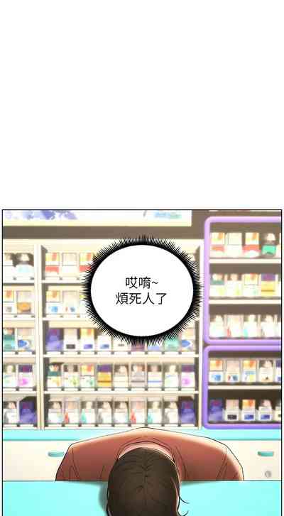 第384頁圖