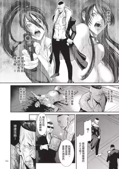 第164頁圖