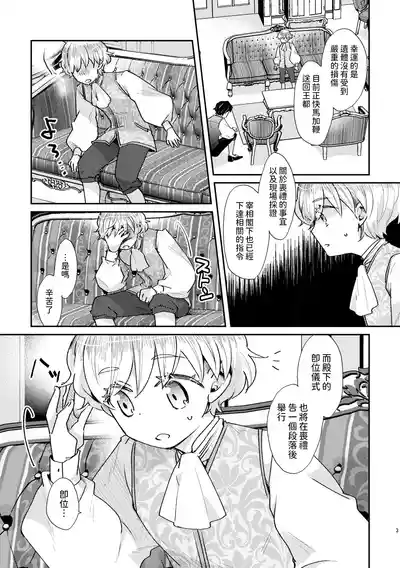 第4页图