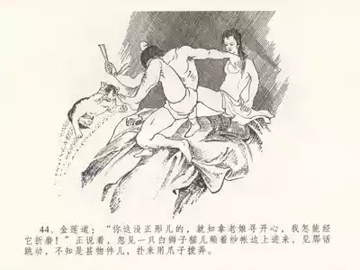 第48页图