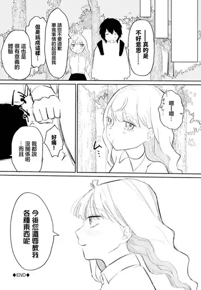 第20页图