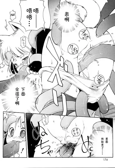 第176頁圖