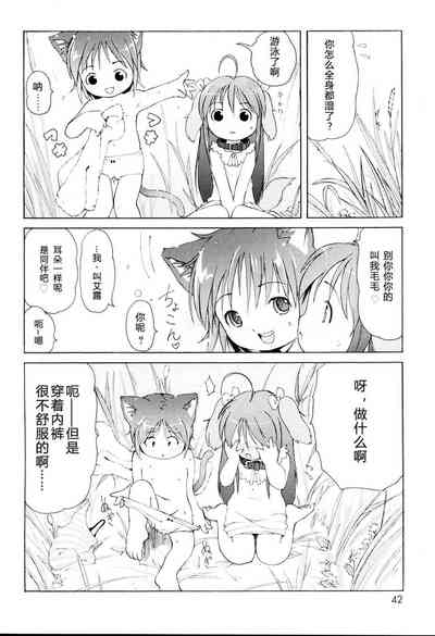第44頁圖