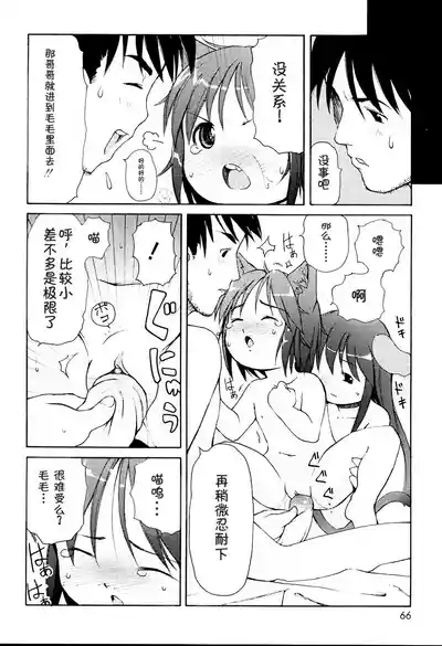 第68頁圖