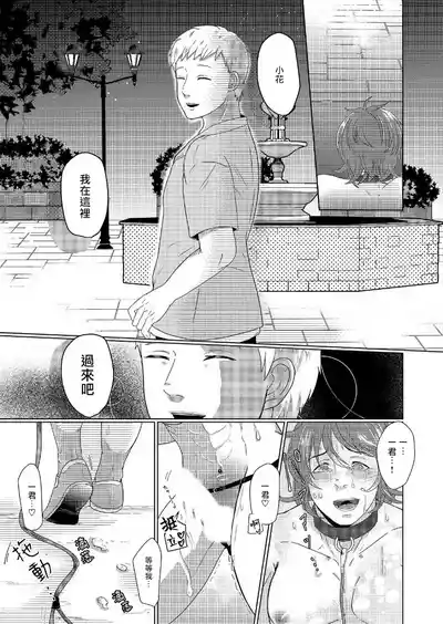 第44頁圖
