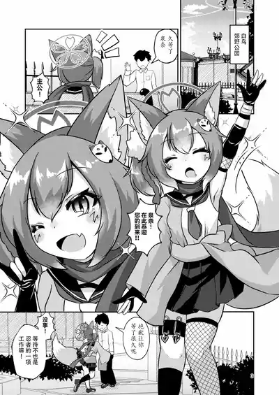 第4页图