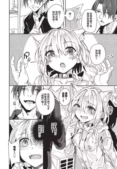 第116頁圖