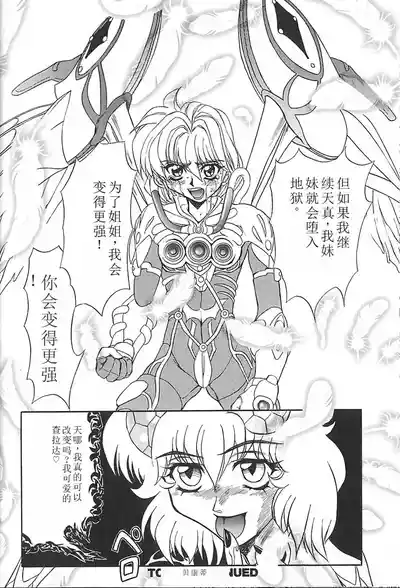第84頁圖