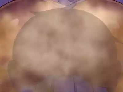 第204頁圖