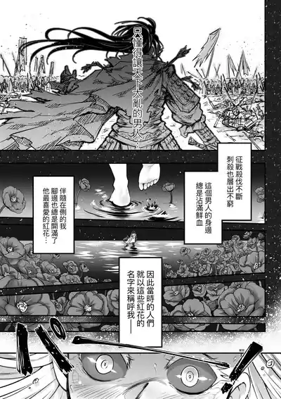 第204页图