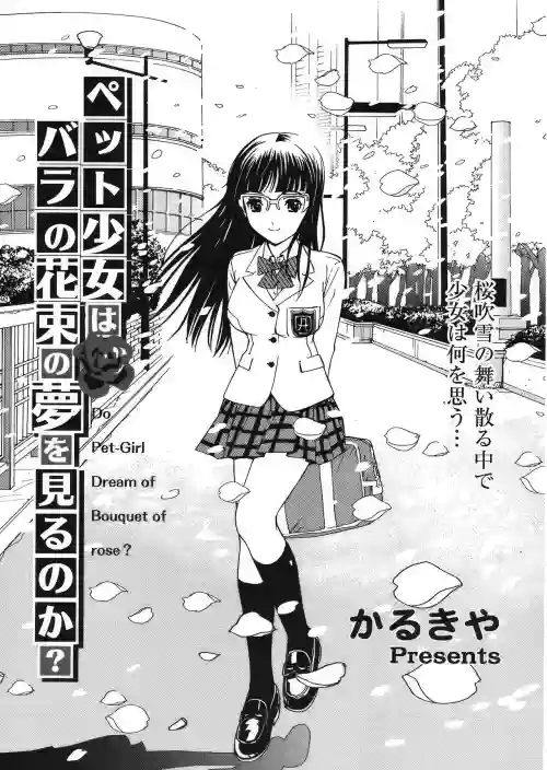 寵物少女會夢見玫瑰花束嗎?圖