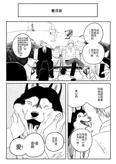 第384頁圖