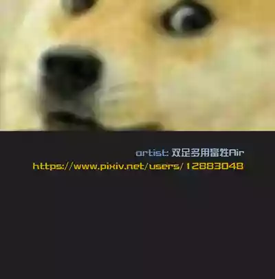 第412頁圖