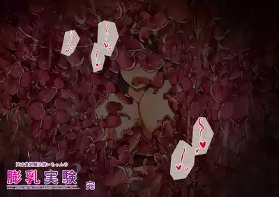 第48頁圖