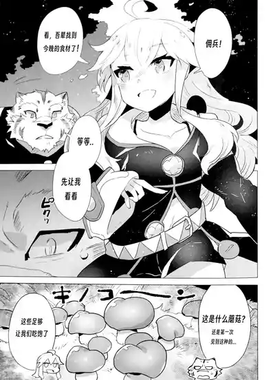第4页图