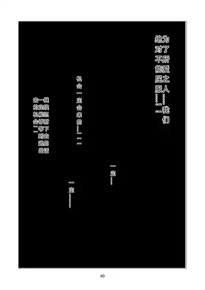 第20页图