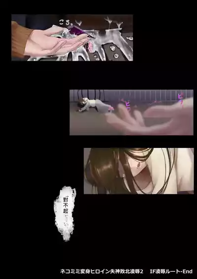 第48頁圖