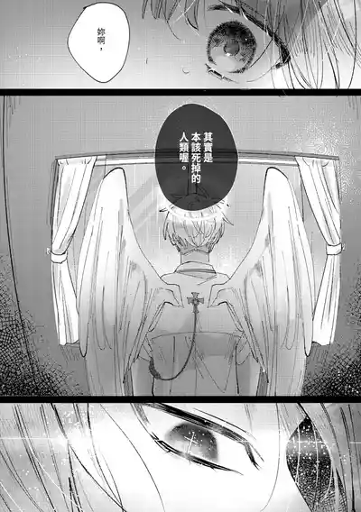 第112頁圖