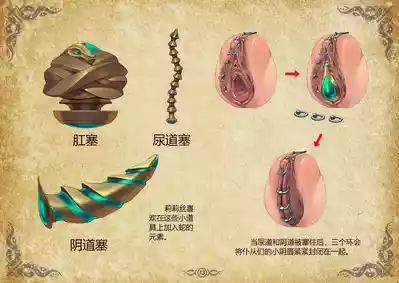 第164頁圖