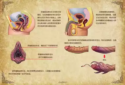 第176頁圖