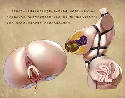 第4頁圖