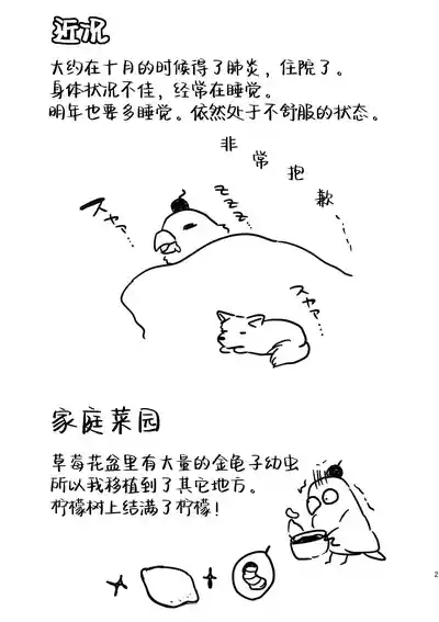 第20頁圖