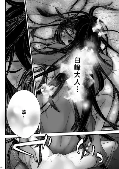 第48頁圖