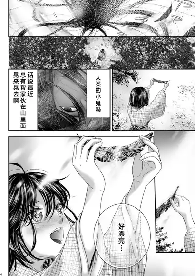 第4頁圖