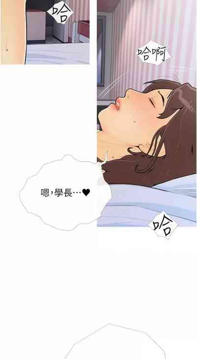 第300頁圖