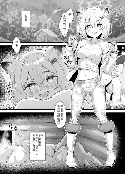 第4页图