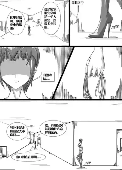 第68頁圖