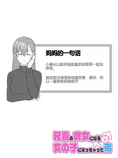 第12页图