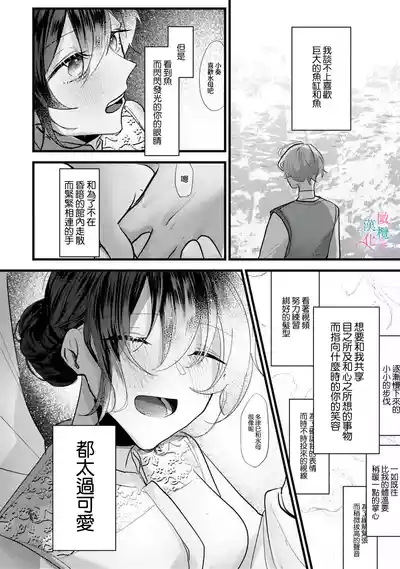 第24頁圖