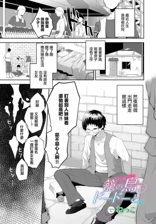 笼の鸟とドードーと。图