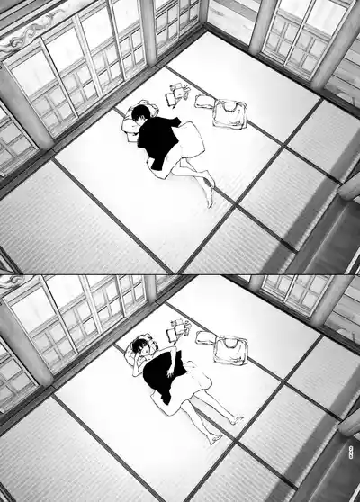 第244页图
