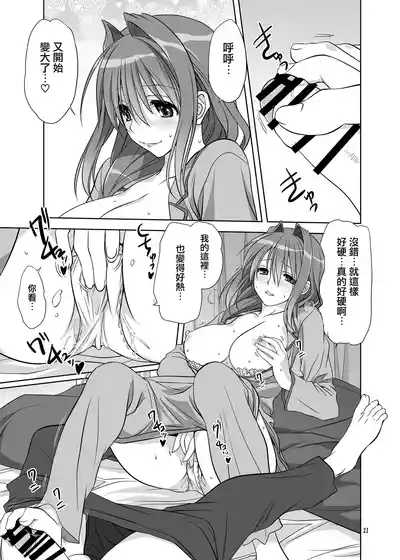 第20页图