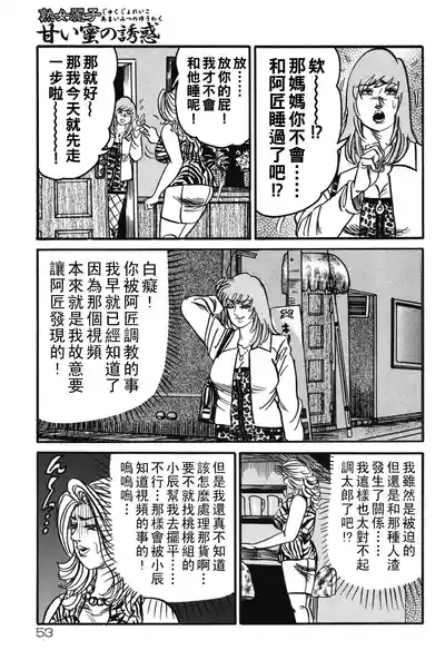 第52頁圖