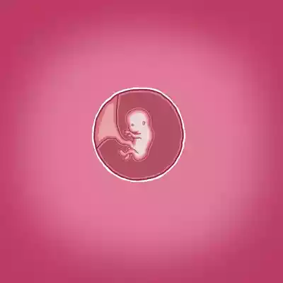 第68頁圖