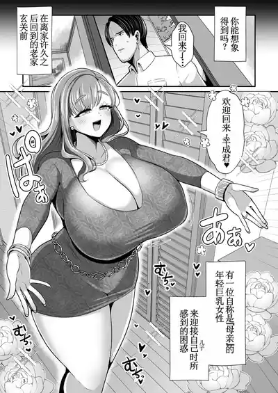 第4页图