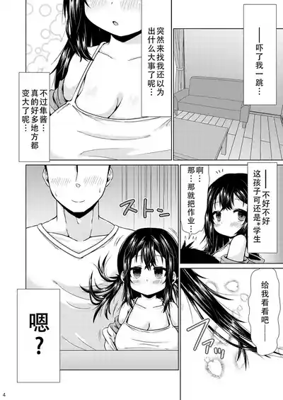 第4页图