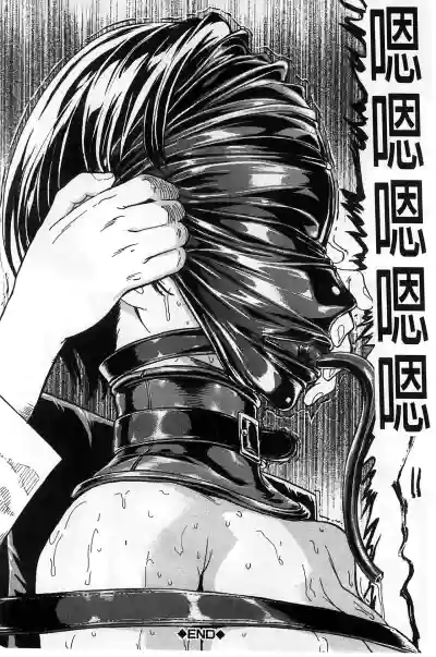 第24页图