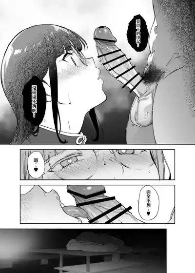 第248頁圖