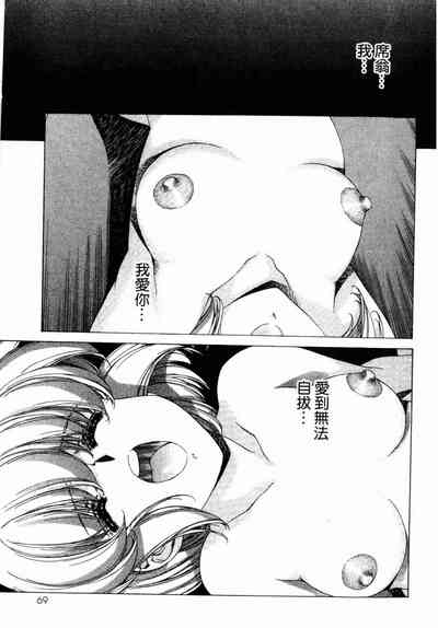 第68頁圖