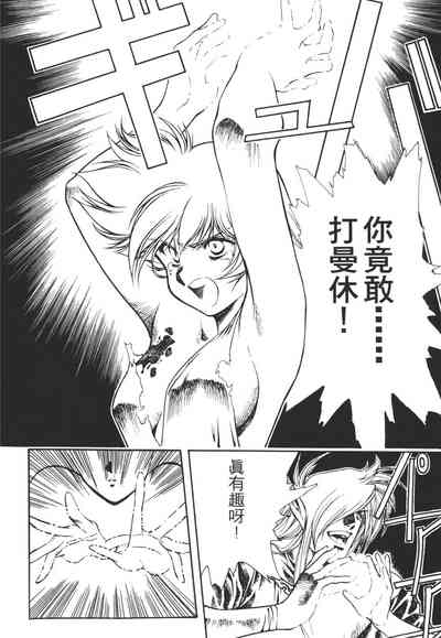 第100頁圖