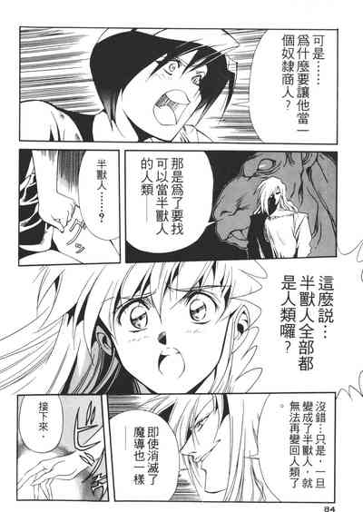 第84頁圖