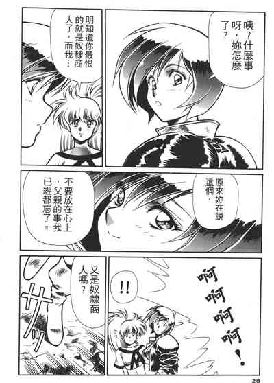 第28页图