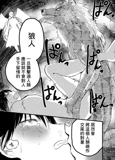 第36頁圖