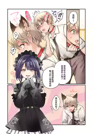 第4页图