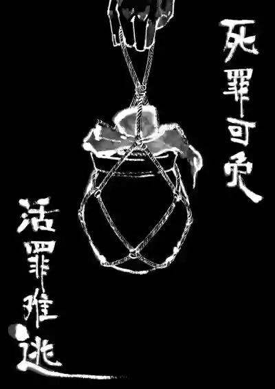 第260页图
