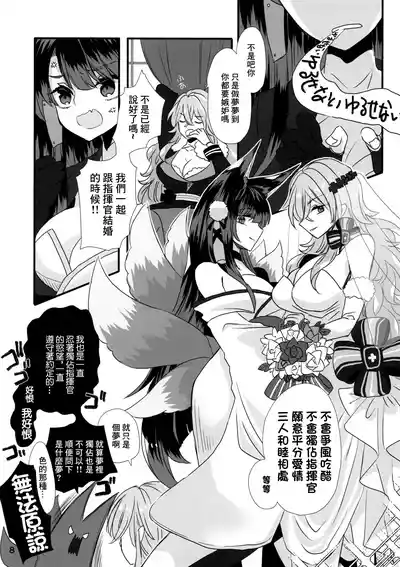 第8页图
